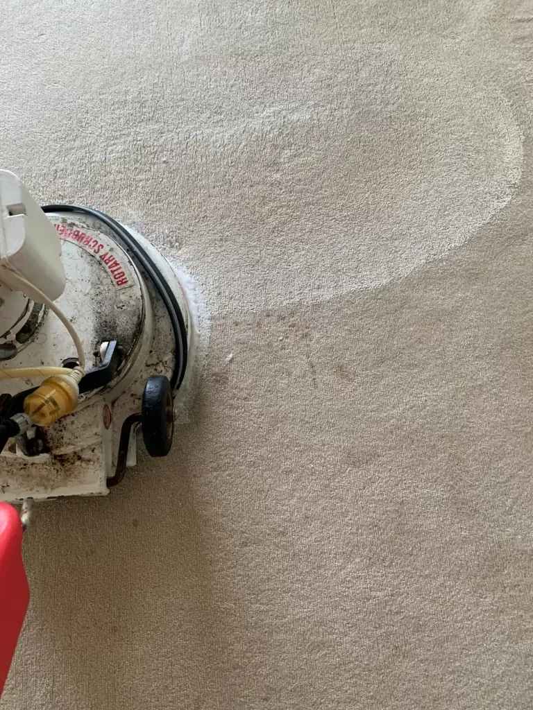 focus cleaning